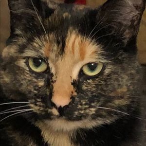 Meet your Posher, Valerie